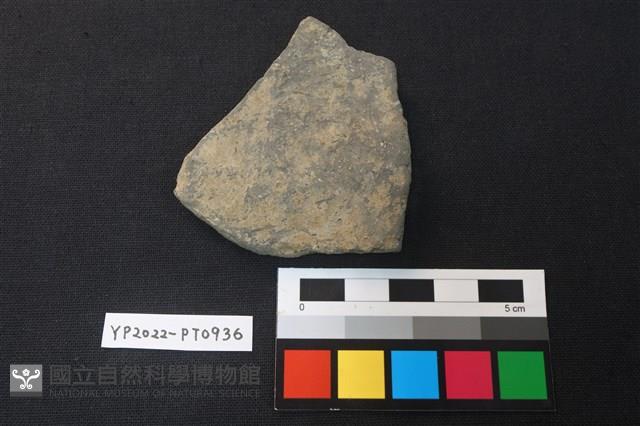 陶片藏品圖，第2張