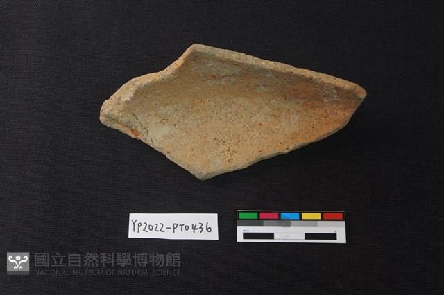 陶片藏品圖，第2張