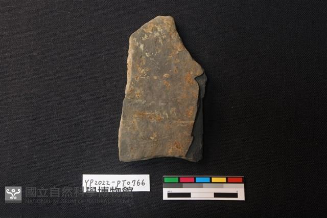 陶片藏品圖，第2張