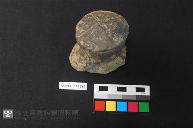 陶鈕藏品圖，第2張