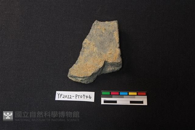 陶片藏品圖，第2張