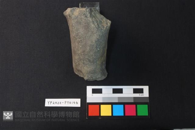 陶足藏品圖，第2張