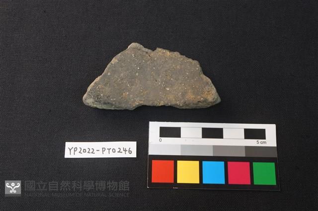 陶片藏品圖，第2張