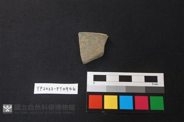 陶片藏品圖，第2張