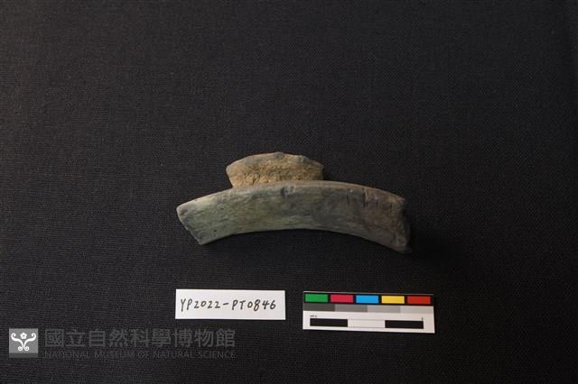 陶片藏品圖，第2張
