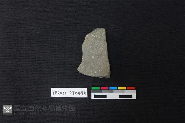 陶片藏品圖，第2張