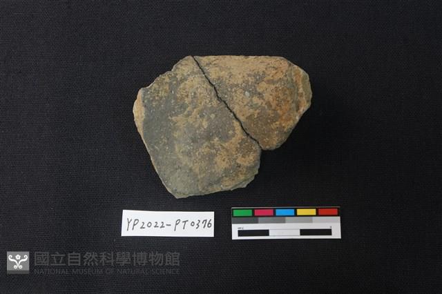陶片藏品圖，第2張