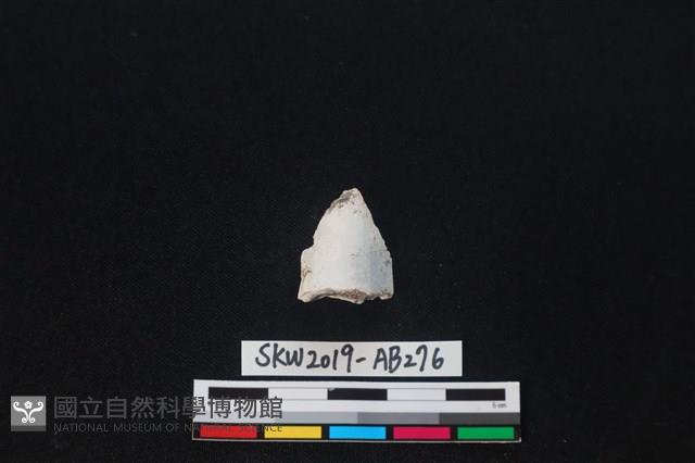 獸骨藏品圖，第2張