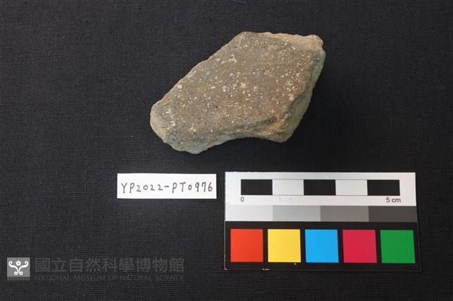 陶片藏品圖，第2張