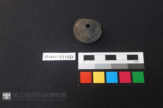 陶紡輪藏品圖，第2張