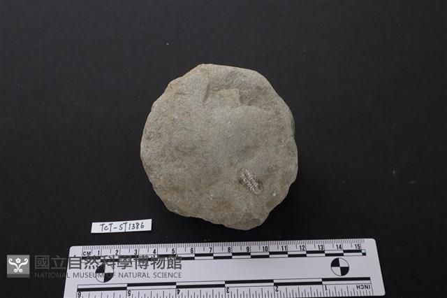 砍砸器藏品圖，第2張