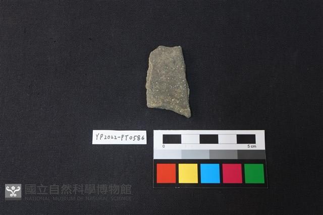 陶片藏品圖，第2張