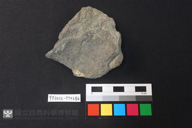 陶片藏品圖，第2張