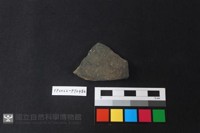 陶片藏品圖，第2張
