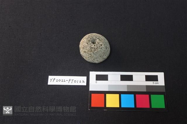 陶紡輪藏品圖，第2張