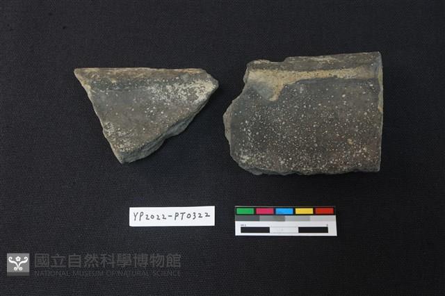 陶片藏品圖，第2張