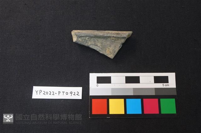 陶片藏品圖，第2張