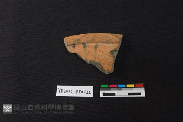陶片藏品圖，第2張
