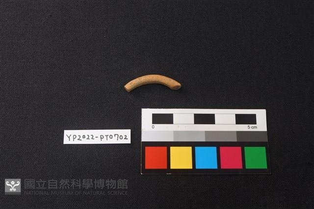 陶環藏品圖，第2張