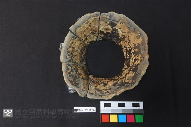 陶片藏品圖，第2張