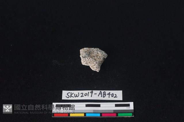 獸骨藏品圖，第2張