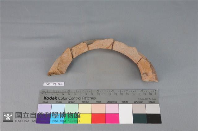 陶罐藏品圖，第2張