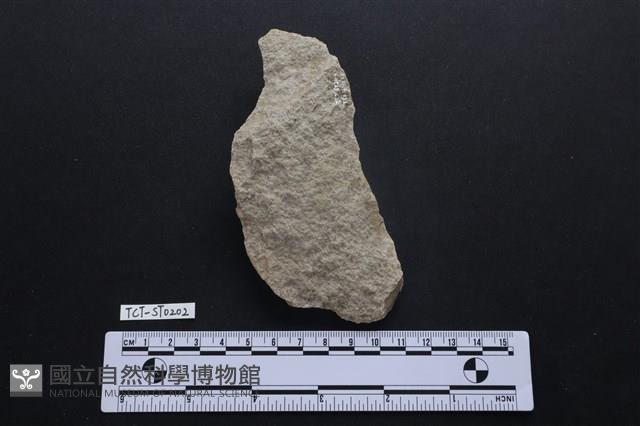斧鋤形器藏品圖，第2張