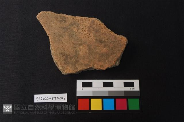 陶片藏品圖，第2張