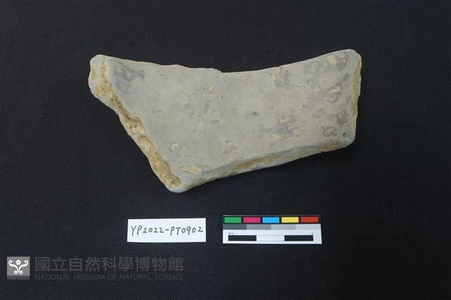 陶片藏品圖，第2張