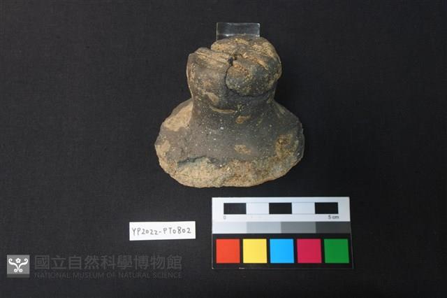 蓋鈕藏品圖，第2張