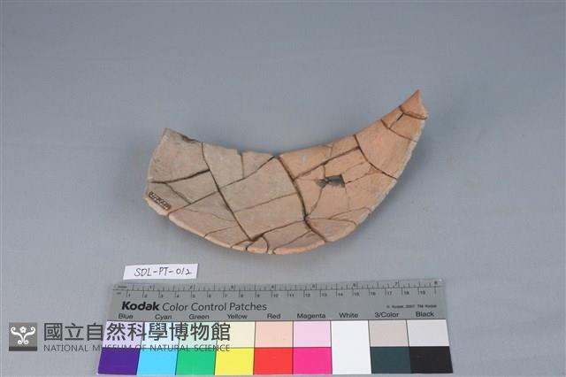 陶片藏品圖，第2張