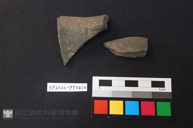 陶片藏品圖，第2張