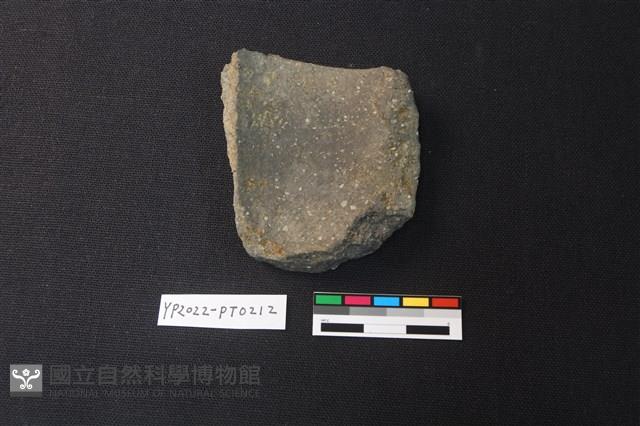 陶片藏品圖，第2張