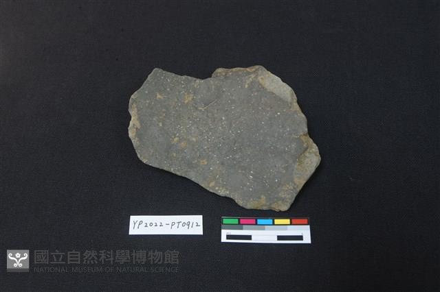 陶片藏品圖，第2張