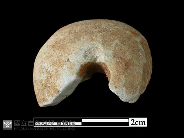 陶紡輪藏品圖，第2張