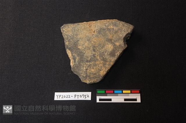 陶片藏品圖，第2張