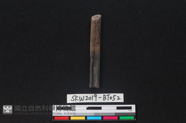 骨尖器殘件藏品圖，第2張