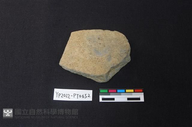 陶片藏品圖，第2張