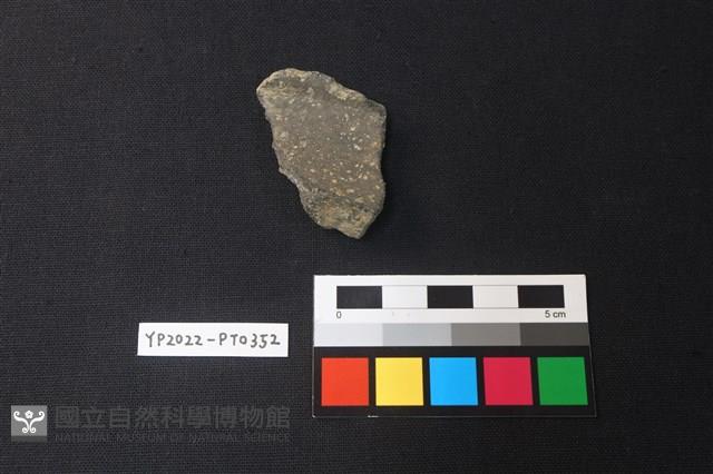 陶片藏品圖，第2張