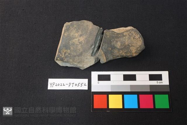 陶片藏品圖，第2張