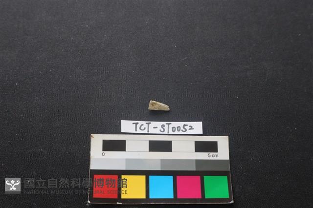 帶加工痕玉材藏品圖，第2張
