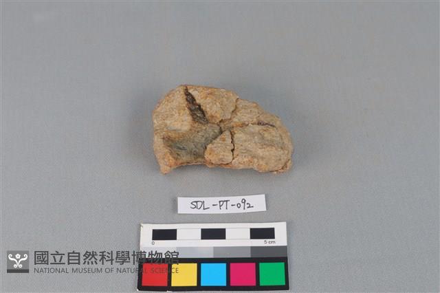 陶把藏品圖，第2張