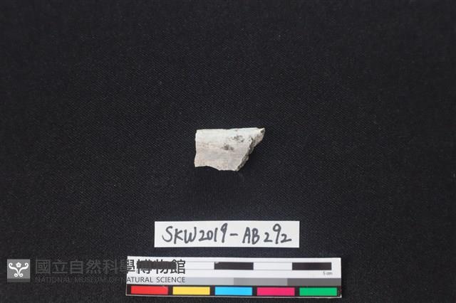 獸骨藏品圖，第2張