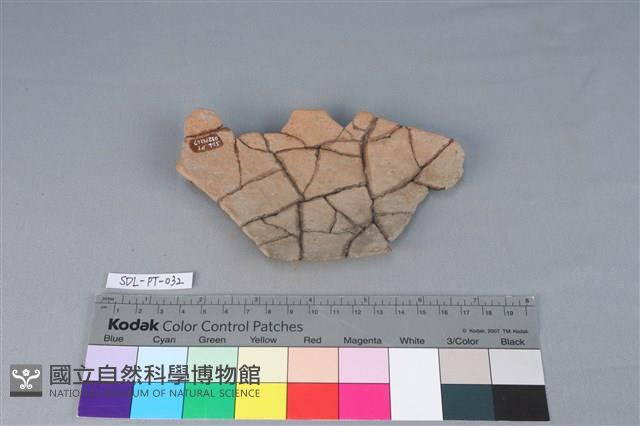 陶片藏品圖，第2張