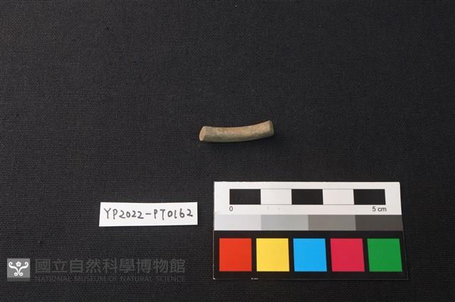 陶環藏品圖，第2張