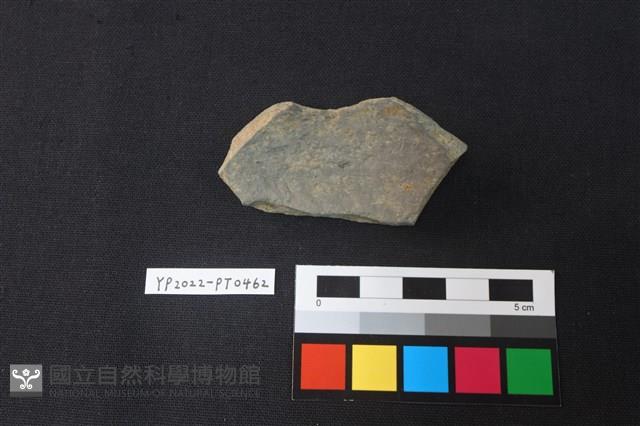 陶片藏品圖，第2張