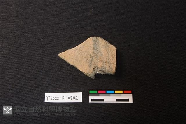 陶片藏品圖，第2張
