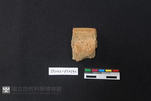 陶片藏品圖，第2張