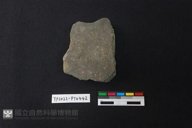 陶片藏品圖，第2張
