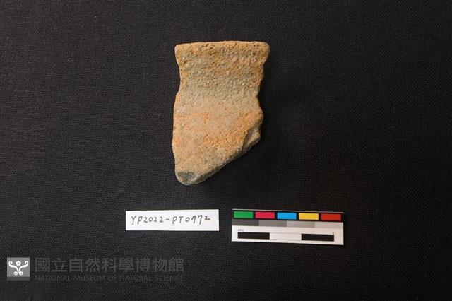 陶片藏品圖，第2張